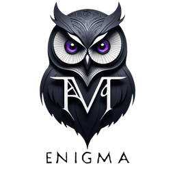 צ'אט עם אניגמה